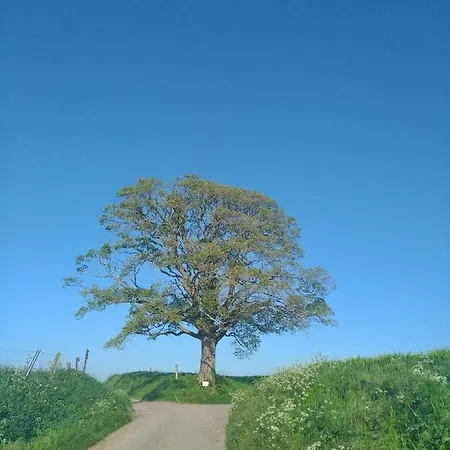 Cosy Nyaraló Beugin